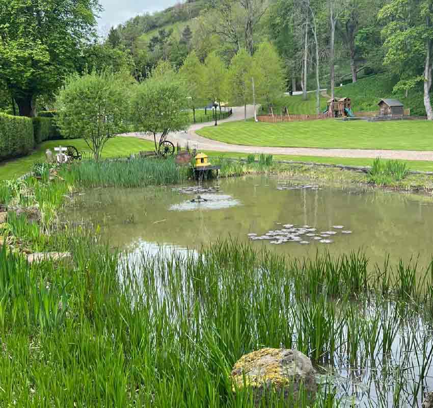 Lake Maintenance in Tatsfield