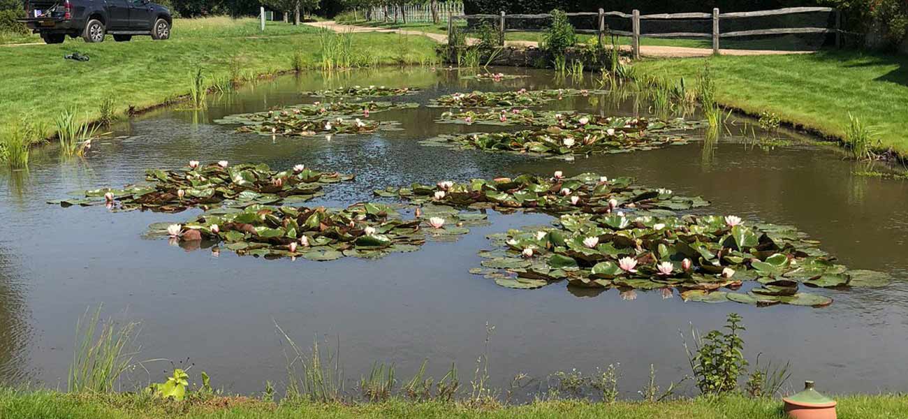 Lake Maintenance in Tatsfield