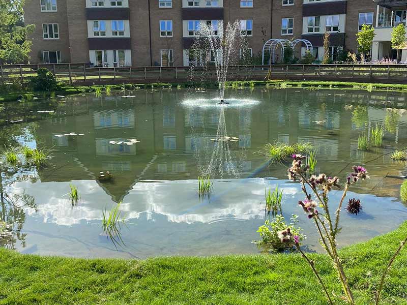 Lake Maintenance in Tatsfield