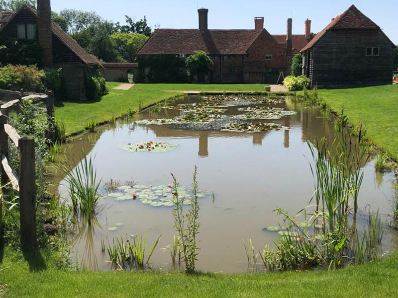 Pond Maintenance in Tatsfield
