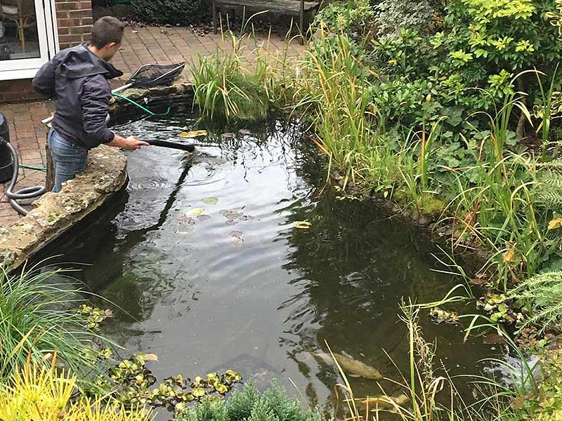 Pond Maintenance in Tatsfield